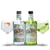 Pack Duo - The FoxTale Dry & Melon Gin