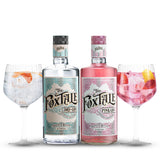Pack Duo - The FoxTale Dry & Pink Gin