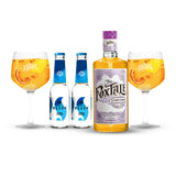 Pack The FoxTale Passionfruit Gin & Tonic