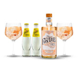 Pack The FoxTale Citrus Gin & Tonic