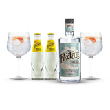 Pack The FoxTale Dry Gin & Tonic