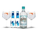 Pack The FoxTale Dry Gin & Tonic
